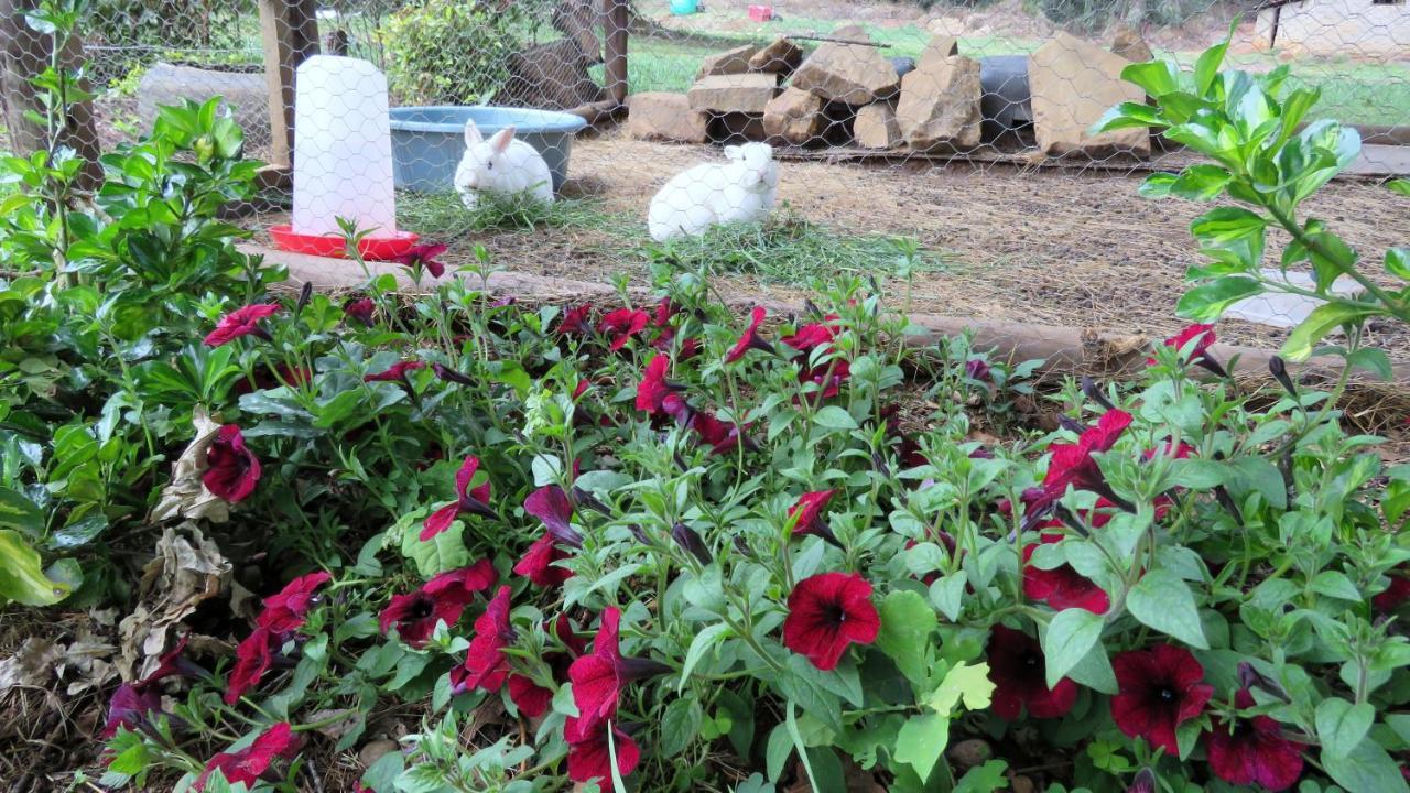 هيمفيل Old Inchgarth Farmstay المظهر الخارجي الصورة