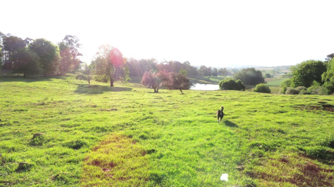 هيمفيل Old Inchgarth Farmstay المظهر الخارجي الصورة